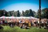 Into The Wild festival offers community, creativity and connection to nature