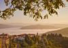 'Truffle hunters are fiercely protective of their favoured spots, often passed down from older generations': The Croatian peninsula with a proud culinary tradition