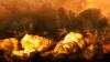Blast at Czech Chemical Plant Injures Three