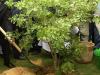 Ethiopian teams arrives to launch ‘Plant Fraternity’ Initiative
