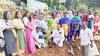 Meenangadi panchayat bags C. Achutha Menon Memorial Award for best agricultural practices