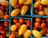 Savoring Summer – Exploring Local Farmers’ Markets in Denver and Beyond