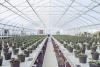Innovative Industrial Properties: What If The Real Estate Value Plummets?