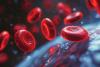 400 Years After Their Discovery, Red Blood Cells Continue To Astonish Scientists
