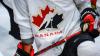 Canada advances to Hlinka Gretzky Cup  gold-medal game vs. United States