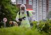 Fighting chikungunya in Hong Kong: why do experts reject mosquito ‘weaponising’?