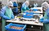 Japan to recruit around 1500 Myanmar workers