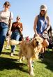 Free Arizona Fall Festival returning to celebrate diverse culture, art