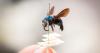 ‘Library of life on Earth’ safely settled into new $90 million CSIRO research home
