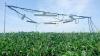 Scientists rush to create solutions for worsening crisis in food supply: 'There's a lot of excitement'