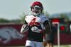Commentary: Arkansas football might just have something in RB Mike Washington