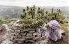 The Kenyan link in idyllic eMkhomazi