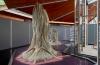 Scientists create incredible living building that could revolutionize construction: 'The installation is an experiment'