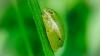 TN Wildlife Magazine calendar photo winner took up hobby during COVID