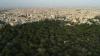 Pakistan reaches critical environmental tipping point as forest cover shrinks by 18%