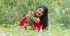 24-YO Kerala Engineer Turns Portulaca Gardening Hobby Into Rs 1 Lakh/Month Flower Business