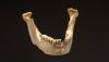 Science Men's Journal Dental Remains Reveal Odd Mating Habits of Early Humans