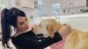 Small Business: Dopaw brings glamour to raw pet food for paws-itive health