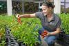 UMass Lowell celebrates Massachusetts Urban Agriculture Week