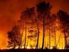 World News | UAE Rescue Team Continues Efforts to Extinguish Wildfires in Albania