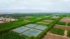 Razat Farm launches first dedicated agri-tourism project