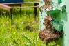 Scientists issue warning after noticing dramatic behavior changes in honeybees: 'It's a very fragile system'