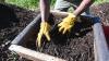 Detroit launches city's first food composting pilot program