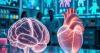 Chinese scientists use ‘ionic glass’ to make organs transparent without slicing, unlocking 3D ‘X-ray vision’ of the human body