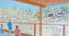 New Mexican Gray Wolf exhibit coming to the Arizona-Sonora Desert Museum