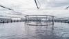 Expansion of Tasmania’s salmon industry paused for major review