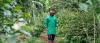 Farmers, Environmentalists Differ On Risks, Rewards Of Tree Crops For Carbon Finance