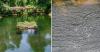 Why Does This 400-YO Goan Lake Bubble When You Clap? Scientists Are Still Baffled