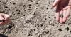 ASU scientists uncover new fossils – and a new species of ancient human ancestor