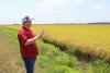 Arkansas Farm Bankruptcies Rise as Costs Outpace Crop Prices