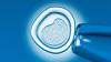 Scientists Take First Step to Creating Human Eggs and Sperm in Lab