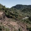 Comoros lost 80 percent of its natural forests between 1995 and 2014, its environment minister says