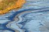 Environmental toxins and water pollution: Consequences for human health