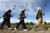 Indonesia to involve universities in science-based green policies
