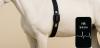 Advancing animal care with smart fabrics
