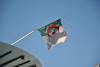 Egyptian, Algerian FMs assert their rejection of Israeli cabinet’s decision to expand aggression on Gaza