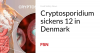 Cryptosporidium sickens 12 in Denmark