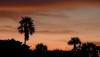 This is the No. 1 place to visit in Florida, report finds. Here’s why