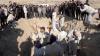 Iraq starts excavation of mass grave