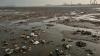 Agriculture & Fisheries Ministry Condemns Environmental Crimes by Occupying Forces on Coast