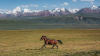Scientists Say: Steppe
