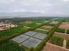 Razat Sultaniya Farm in Oman opens to tourists on August 18