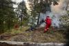 Albania, Only four Active Fires, 16 Extinguished