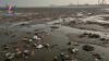 Ministry of Agriculture, Fisheries Condemns Occupation's Crimes on Yemeni Coasts