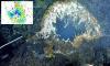 Massive underwater volcano on brink of eruption after unprecedented activity, scientists warn