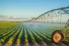 African agribusiness market expected to reach $1tr by 2030